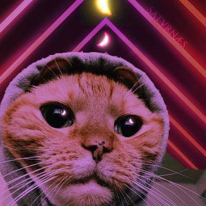 Meet your Posher, Nate